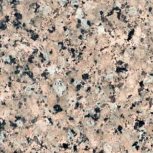 Beige Rosa